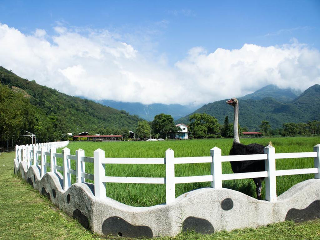 Lin Tea B&B Ruisui Bilik gambar
