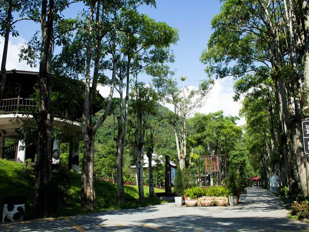 Lin Tea B&B Ruisui Bilik gambar