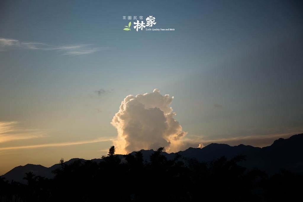 Lin Tea B&B Ruisui Luaran gambar